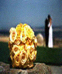 wedding carmel california.